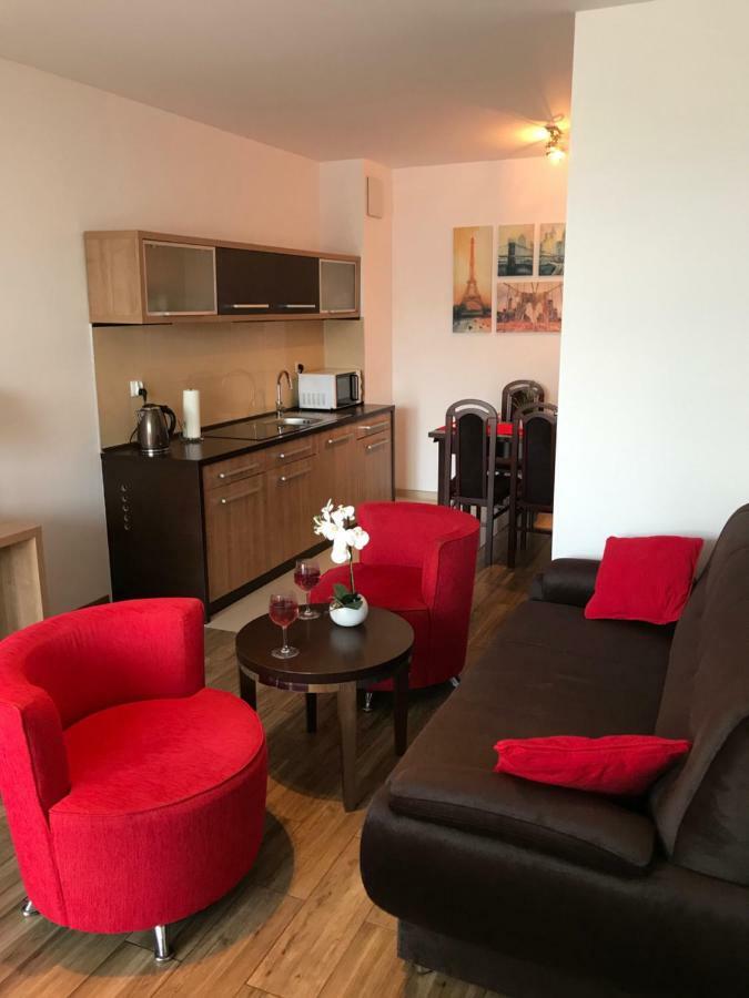 Apartament 454 W Hotelu Diva コウォブジェク エクステリア 写真