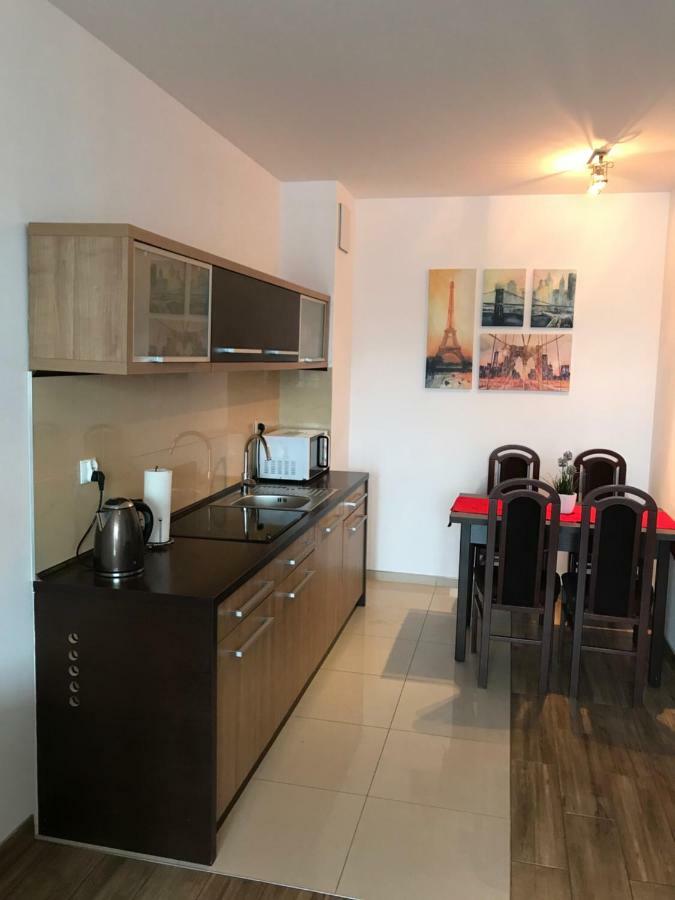 Apartament 454 W Hotelu Diva コウォブジェク エクステリア 写真